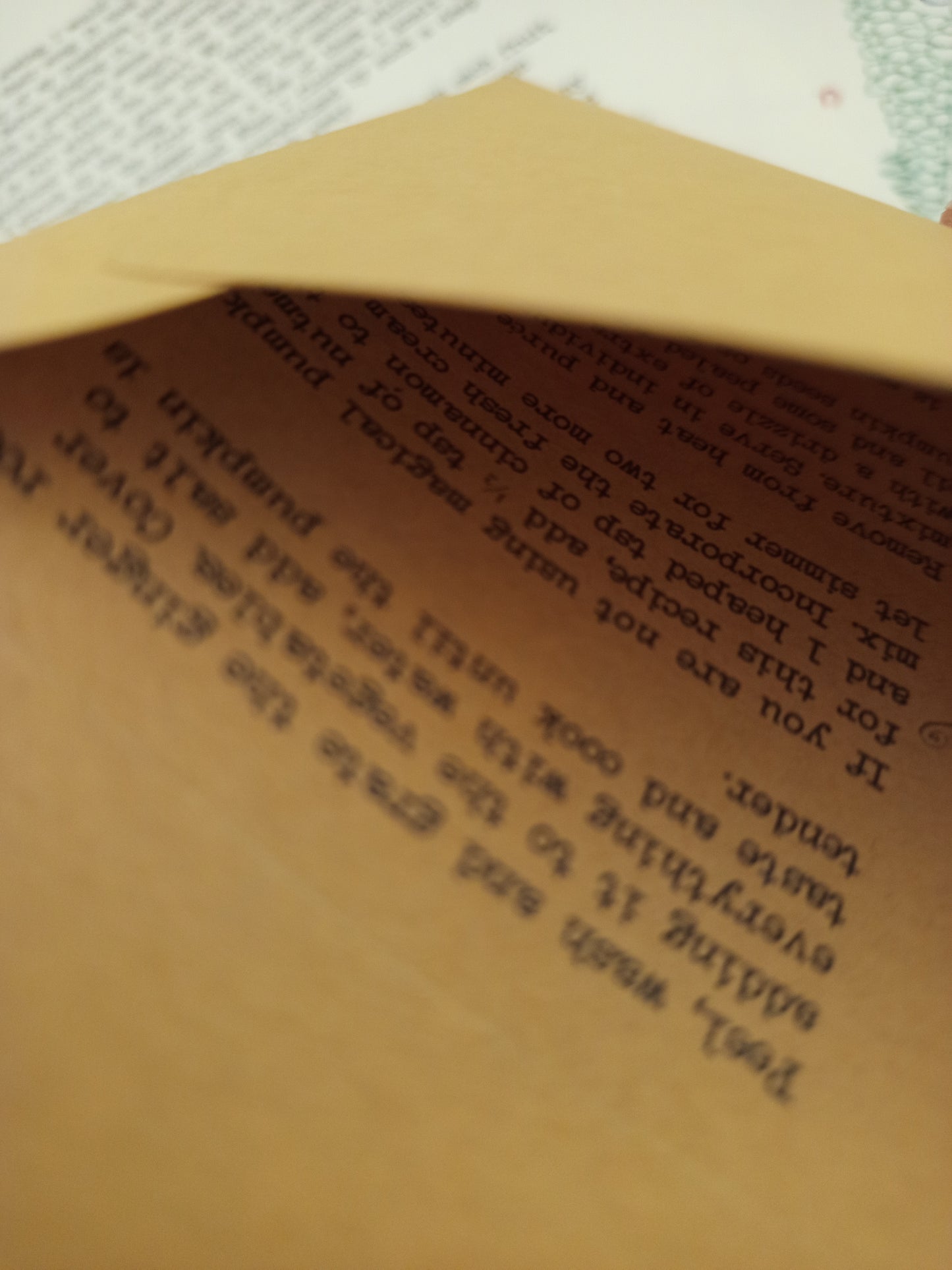 Subscription to Letters from Fairyland